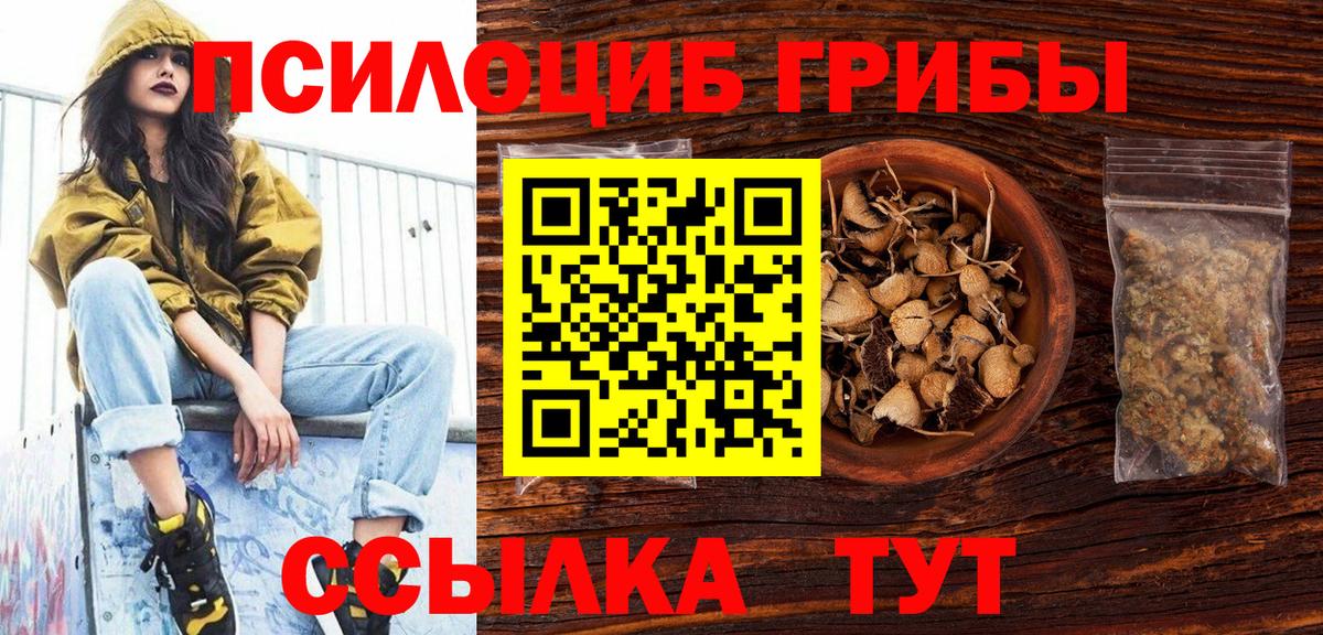 Меф Великий Новгород