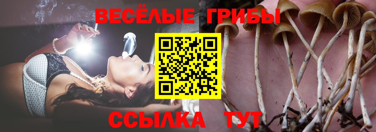 Псилоцибиновые грибы мухоморы  Псилоцибиновые грибы Cubensis  Вход с VPN  Великий Новгород 