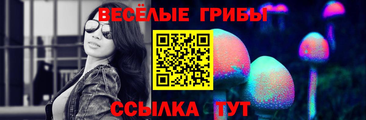 Галлюциногенные грибы GOLDEN TEACHER Великий Новгород
